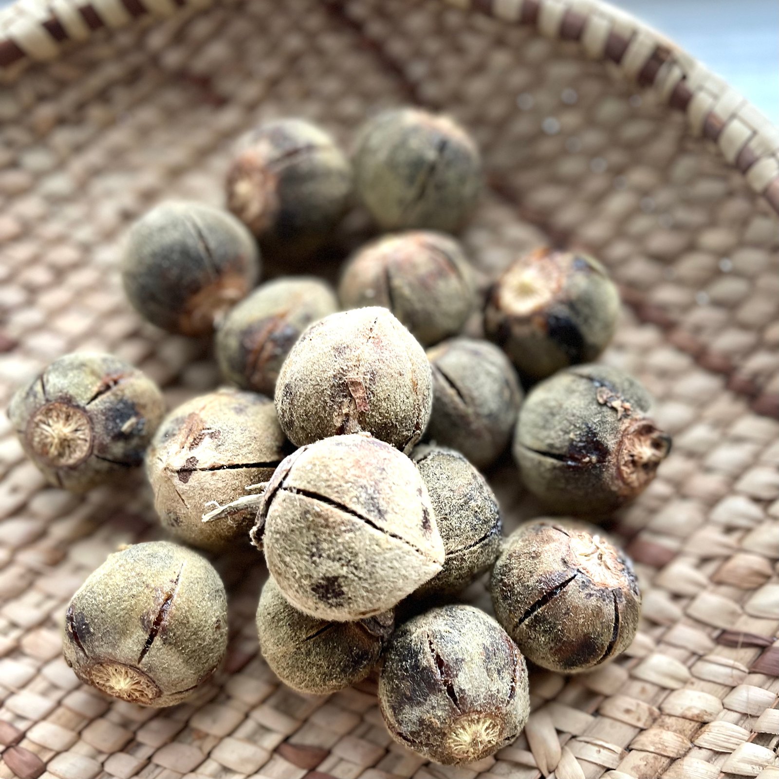 Xakuxaku - African Chewing Gum- Matohwe | Zumbanitea